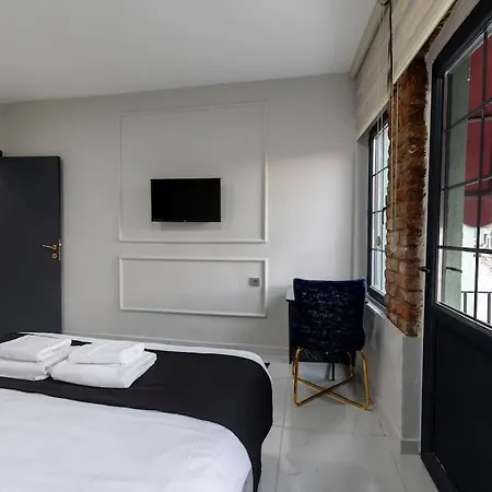 Cozy & Comfy Studio At Beyoglu - 6 公寓